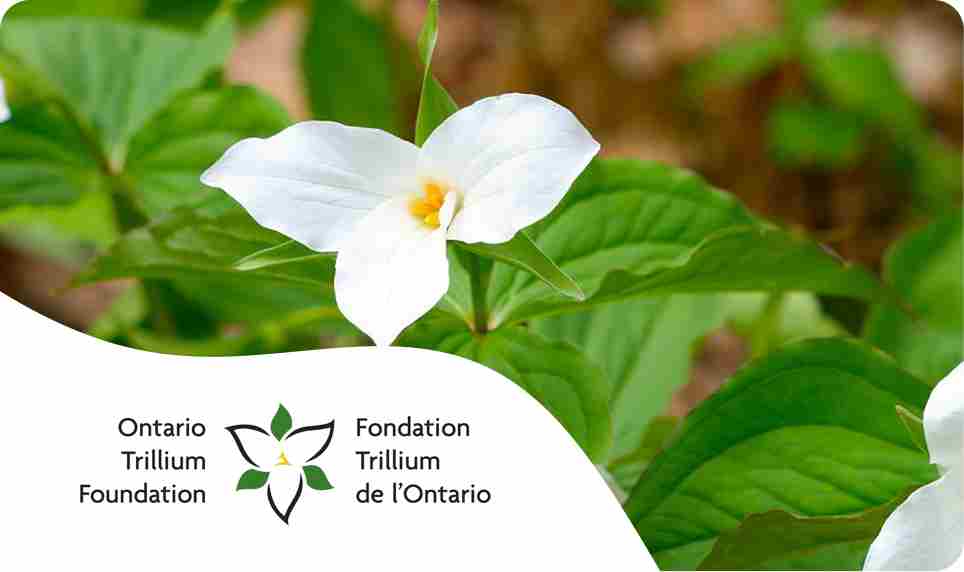 Ontario Trillium Foundation